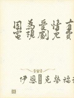 因为爱情有幸福电视剧免费观看全集