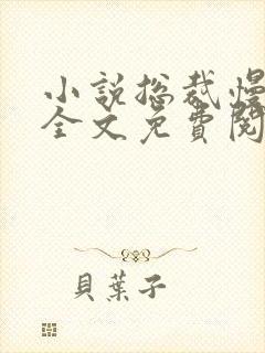 小说总裁慢慢爱全文免费阅读