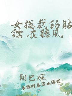 女总裁的贴身保镖 夜听风
