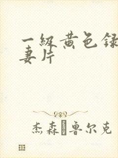 一级黄色录像夫妻片