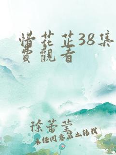 惜花芷38集免费观看