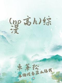 (np高h)综漫