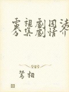 电视剧因法之名分集剧情介绍