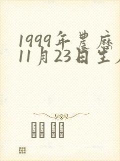 1999年农历11月23日生辰八字