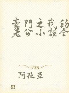 豪门之我的王子老公小说全文阅读
