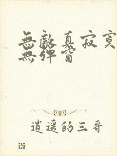 无敌真寂寞小说无弹窗