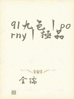 91九色丨porny丨极品