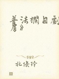 普法栏目剧《洞房》