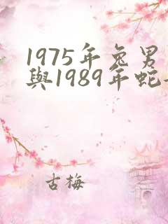 1975年兔男与1989年蛇女的婚姻?