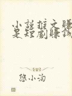 小说推文赚钱还是短剧赚钱