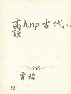 高hnp古代小说