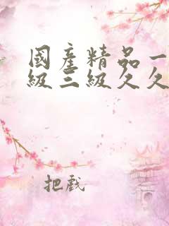 国产精品一级二级三级久久久