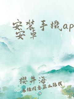 安装手机app 安卓