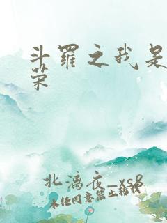 斗罗之我是宁荣荣
