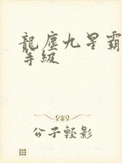 龙尘九星霸体诀等级 龙尘九星霸体诀等级
