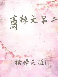 高辣文第二书包网