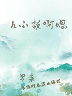 h小说啊嗯