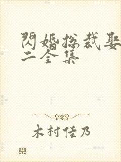 闪婚总裁娶一送二全集