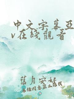 中文字幕亚洲av在线观看