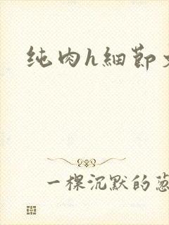 纯肉h细节文