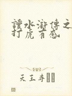 读水浒传之武松打虎有感