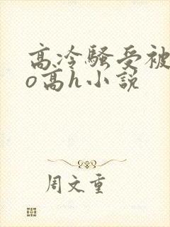 高冷骚受被cao高h小说 高冷骚受被cao高h小说
