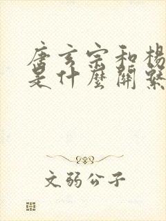 唐玄宗和杨贵妃是什么关系?