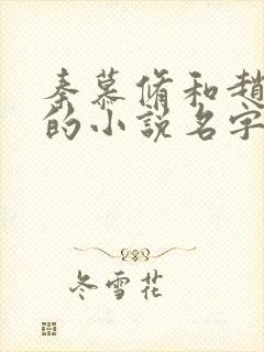 秦慕修和赵锦儿的小说名字叫什么