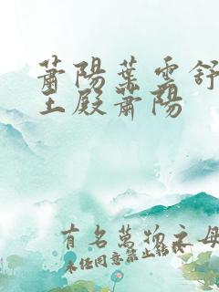 萧阳叶云舒 龙王殿萧阳
