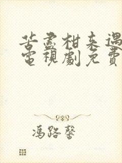 苦尽柑来遇见你电视剧免费观看国语版
