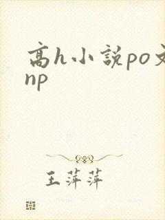 高h小说po文np