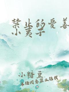 禁止的爱善良的小夷子