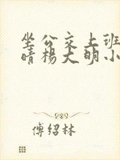 坐公交上班的苏晴杨大明小说免费阅 坐公交上班的苏晴杨大明小说免费阅