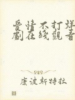 爱情不打烊电视剧在线观看