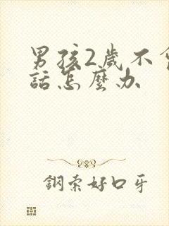 男孩2岁不会说话怎么办
