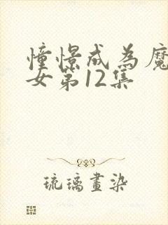 憧憬成为魔法少女第12集