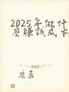 2025年做什么赚钱成本小
