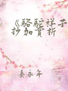《骆驼祥子》摘抄加赏析