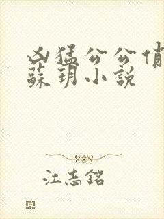 凶猛公公俏儿媳苏玥小说