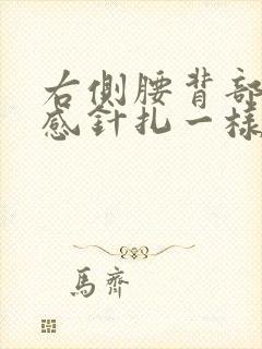 右侧腰背部刺痛感针扎一样