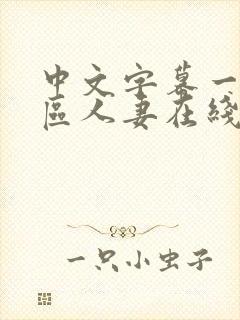 中文字幕一区二区人妻在线不卡