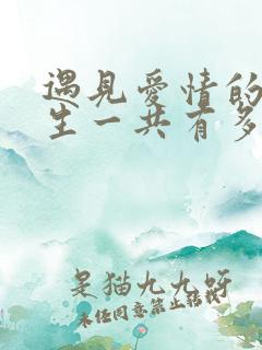 遇见爱情的利先生一共有多少集