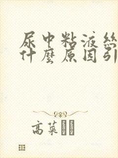 尿中粘液丝高是什么原因引起的
