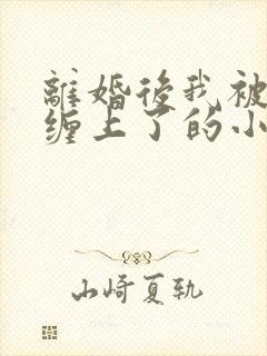 离婚后我被前夫缠上了的小说