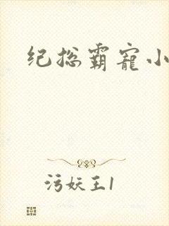 纪总霸宠小娇妻