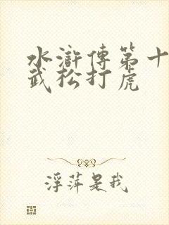 水浒传第十五集武松打虎