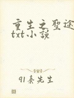 重生之圣途风流txt小说