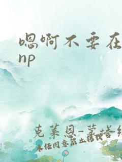 嗯啊不要在这里np