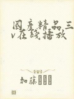 国产精品三级av在线播放