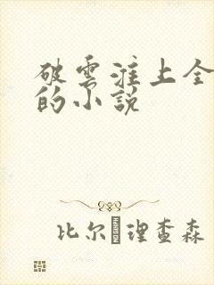 破云淮上全免费的小说
